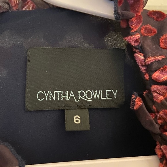 Cynthia Rowley Velvet Heart Maxi Dress: Tuxedo Front/Confetti Hearts - Picture 5 of 7